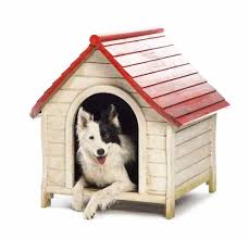 Dog Kennel